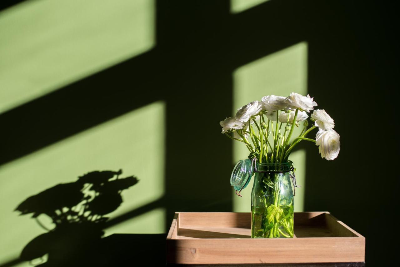 Sur Le Quai Bed and Breakfast Carcassonne Buitenkant foto